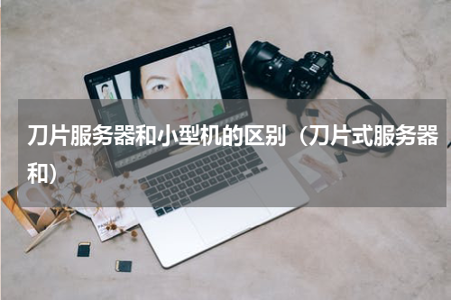 刀片服务器和小型机的区别（刀片式服务器和）