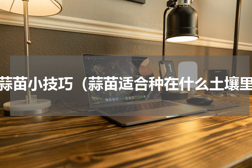 种蒜苗小技巧（蒜苗适合种在什么土壤里）