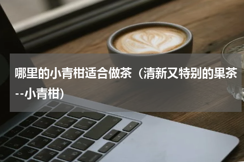 哪里的小青柑适合做茶（清新又特别的果茶--小青柑）
