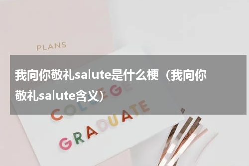 我向你敬礼salute是什么梗（我向你敬礼salute含义）