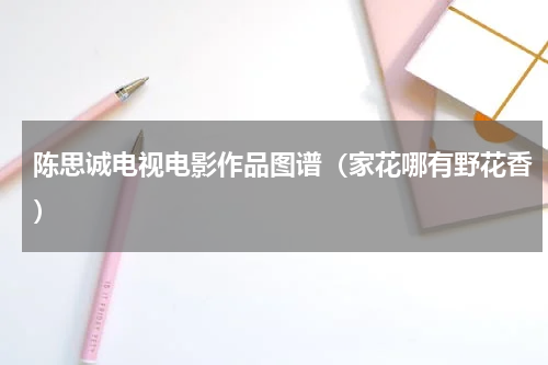 陈思诚电视电影作品图谱（家花哪有野花香）