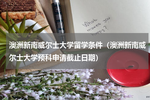 澳洲新南威尔士大学留学条件（澳洲新南威尔士大学预科申请截止日期）