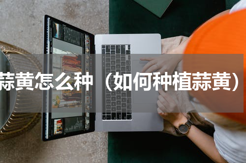 蒜黄怎么种（如何种植蒜黄）