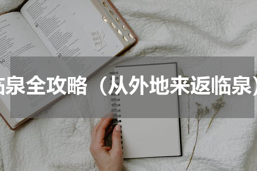 临泉全攻略（从外地来返临泉）