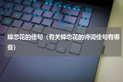 蜂恋花的佳句（有关蜂恋花的诗词佳句有哪些）