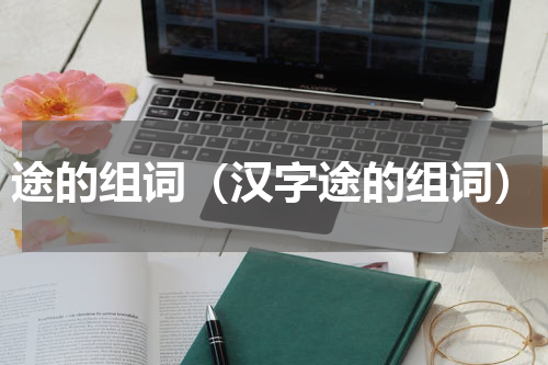 途的组词（汉字途的组词）