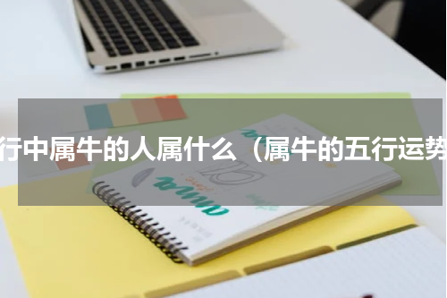 五行中属牛的人属什么（属牛的五行运势）