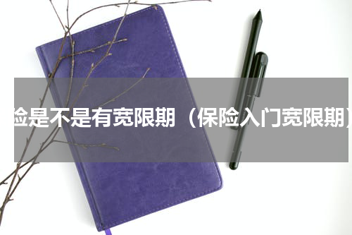 保险是不是有宽限期（保险入门宽限期）