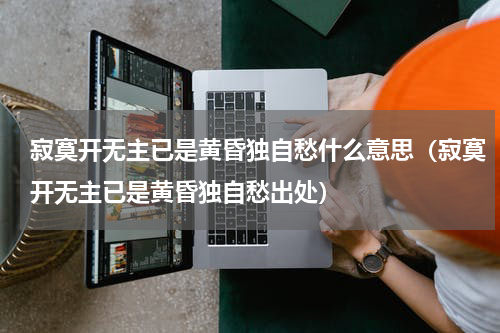 寂寞开无主已是黄昏独自愁什么意思（寂寞开无主已是黄昏独自愁出处）