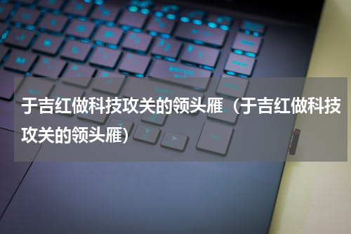 于吉红做科技攻关的领头雁（于吉红做科技攻关的领头雁）