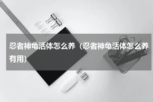 忍者神龟活体怎么养（忍者神龟活体怎么养有用）