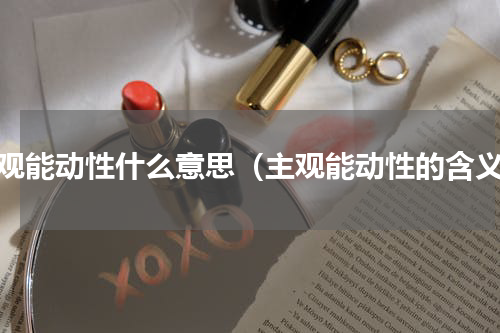 主观能动性什么意思（主观能动性的含义）