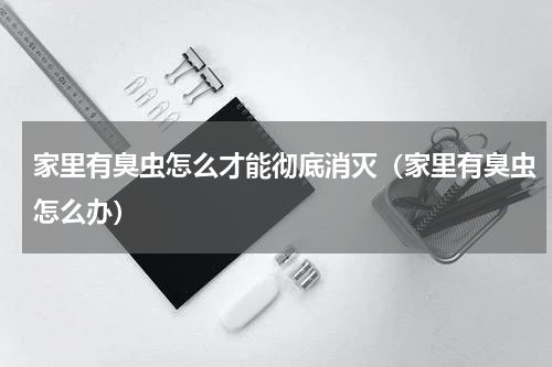 家里有臭虫怎么才能彻底消灭（家里有臭虫怎么办）