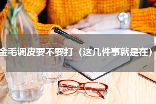 金毛调皮要不要打（这几件事就是在）