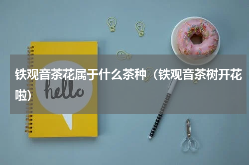铁观音茶花属于什么茶种（铁观音茶树开花啦）