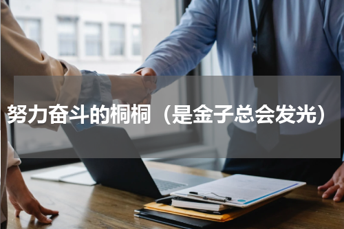 努力奋斗的桐桐（是金子总会发光）