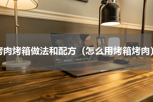 烤肉烤箱做法和配方（怎么用烤箱烤肉）