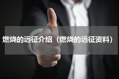 燃烧的远征介绍（燃烧的远征资料）