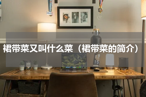 裙带菜又叫什么菜（裙带菜的简介）