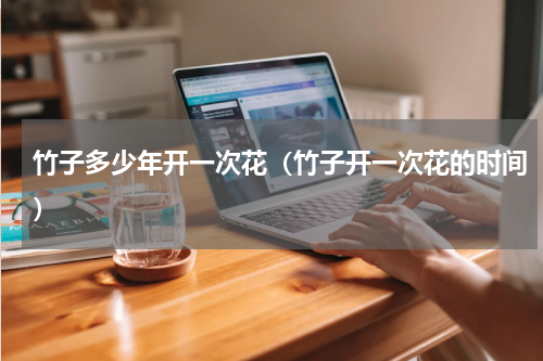 竹子多少年开一次花（竹子开一次花的时间）