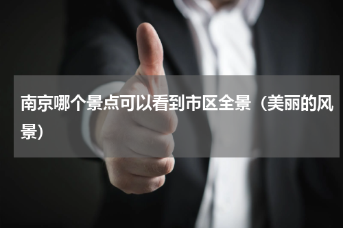 南京哪个景点可以看到市区全景（美丽的风景）