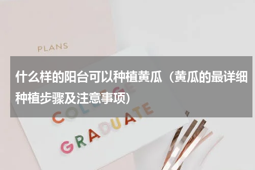 什么样的阳台可以种植黄瓜（黄瓜的最详细种植步骤及注意事项）