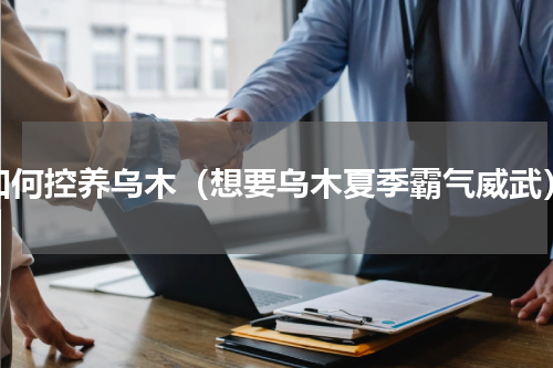 如何控养乌木（想要乌木夏季霸气威武）