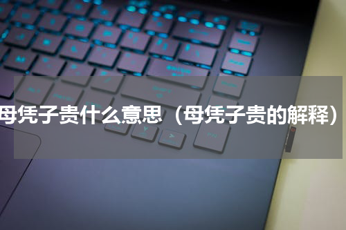 母凭子贵什么意思（母凭子贵的解释）