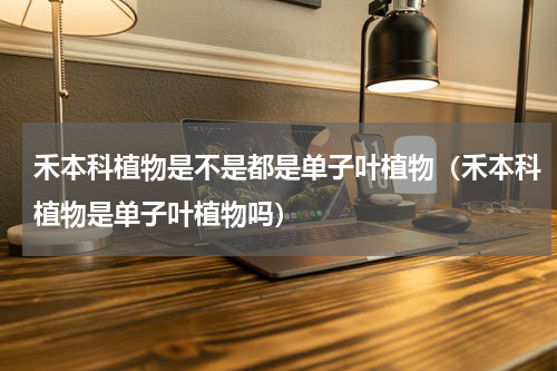 禾本科植物是不是都是单子叶植物（禾本科植物是单子叶植物吗）