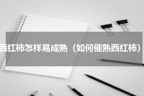 西红柿怎样易成熟（如何催熟西红柿）