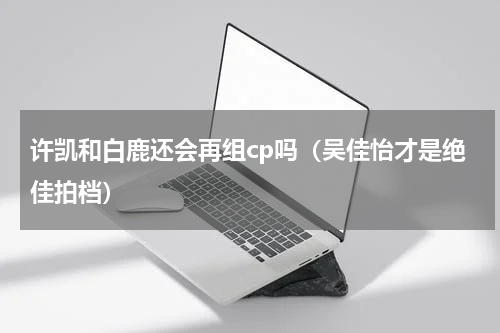 许凯和白鹿还会再组cp吗（吴佳怡才是绝佳拍档）