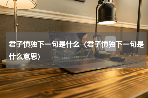 君子慎独下一句是什么（君子慎独下一句是什么意思）