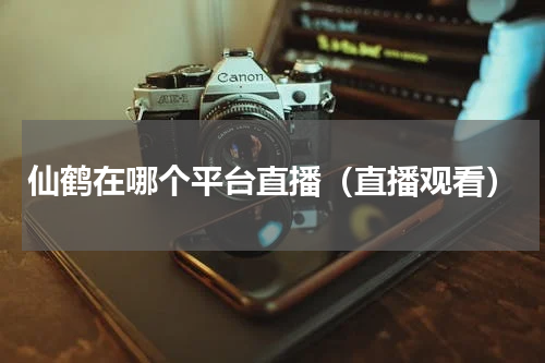 仙鹤在哪个平台直播（直播观看）