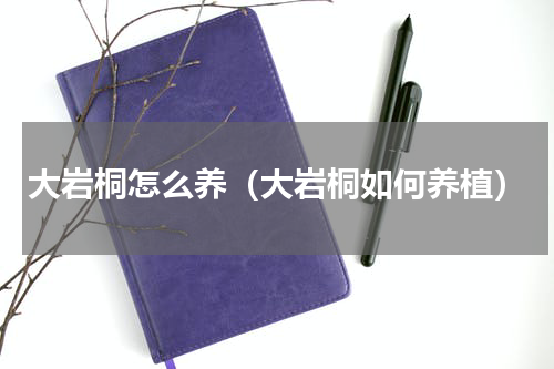 大岩桐怎么养（大岩桐如何养植）