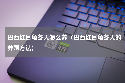 巴西红耳龟冬天怎么养（巴西红耳龟冬天的养殖方法）