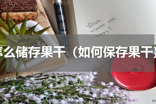 怎么储存果干（如何保存果干）