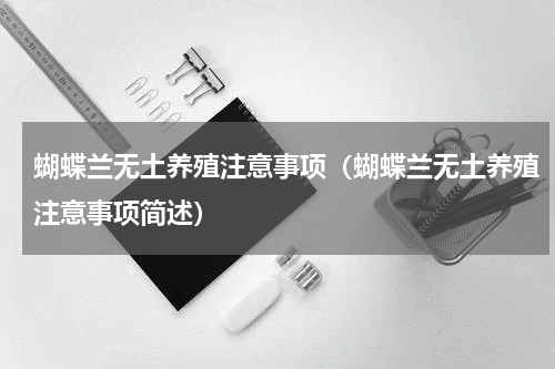 蝴蝶兰无土养殖注意事项（蝴蝶兰无土养殖注意事项简述）
