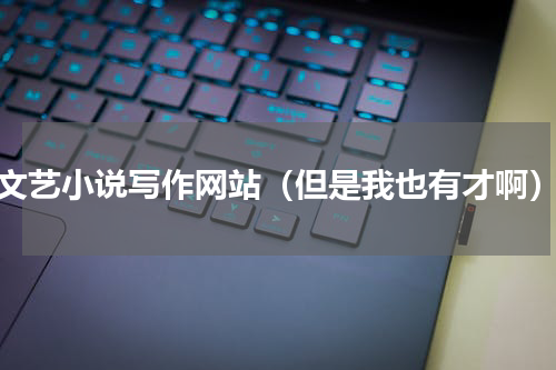 文艺小说写作网站（但是我也有才啊）