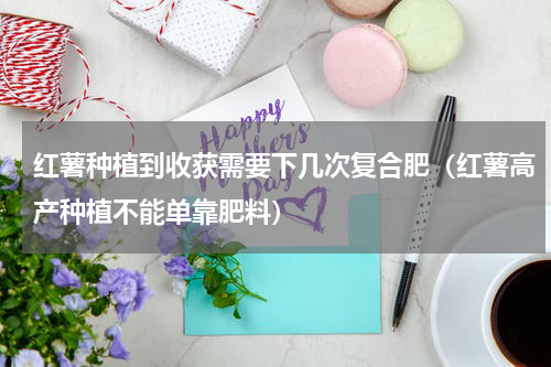 红薯种植到收获需要下几次复合肥（红薯高产种植不能单靠肥料）
