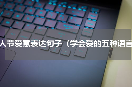 情人节爱意表达句子（学会爱的五种语言）