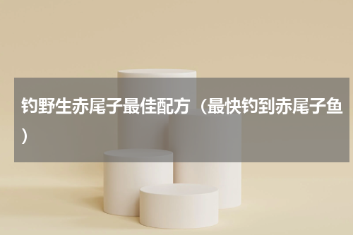 钓野生赤尾子最佳配方（最快钓到赤尾子鱼）