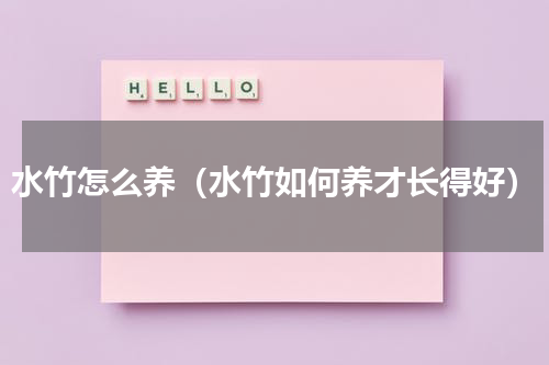 水竹怎么养（水竹如何养才长得好）