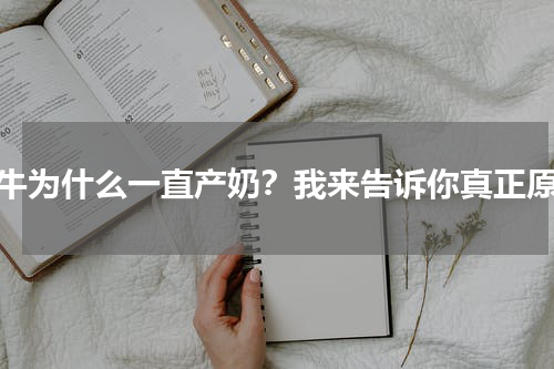 奶牛为什么一直产奶？我来告诉你真正原因