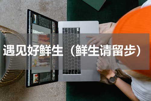 遇见好鲜生（鲜生请留步）