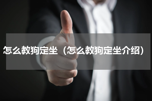 怎么教狗定坐（怎么教狗定坐介绍）