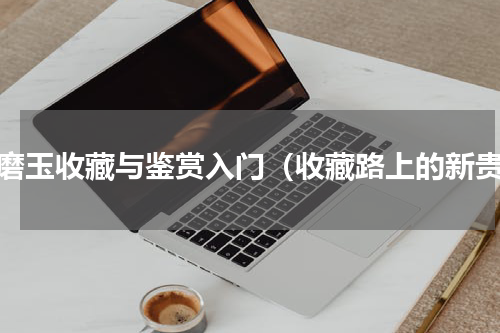河磨玉收藏与鉴赏入门（收藏路上的新贵）