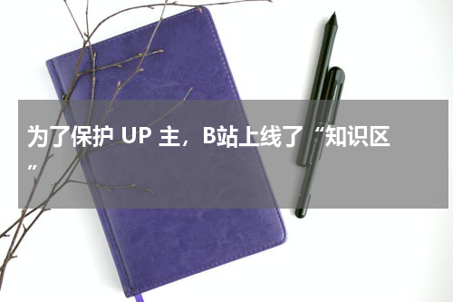 为了保护 UP 主，B站上线了“知识区”