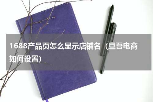 1688产品页怎么显示店铺名（旦吾电商如何设置）