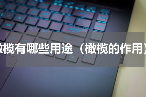 橄榄有哪些用途（橄榄的作用）