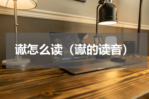 谳怎么读（谳的读音）